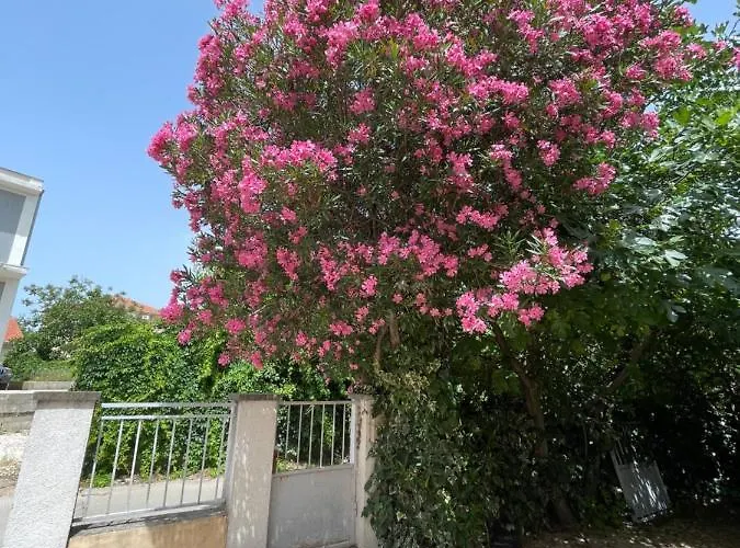 Ksenija Appartement *