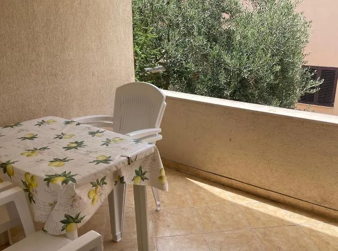 Ksenija * מורטר